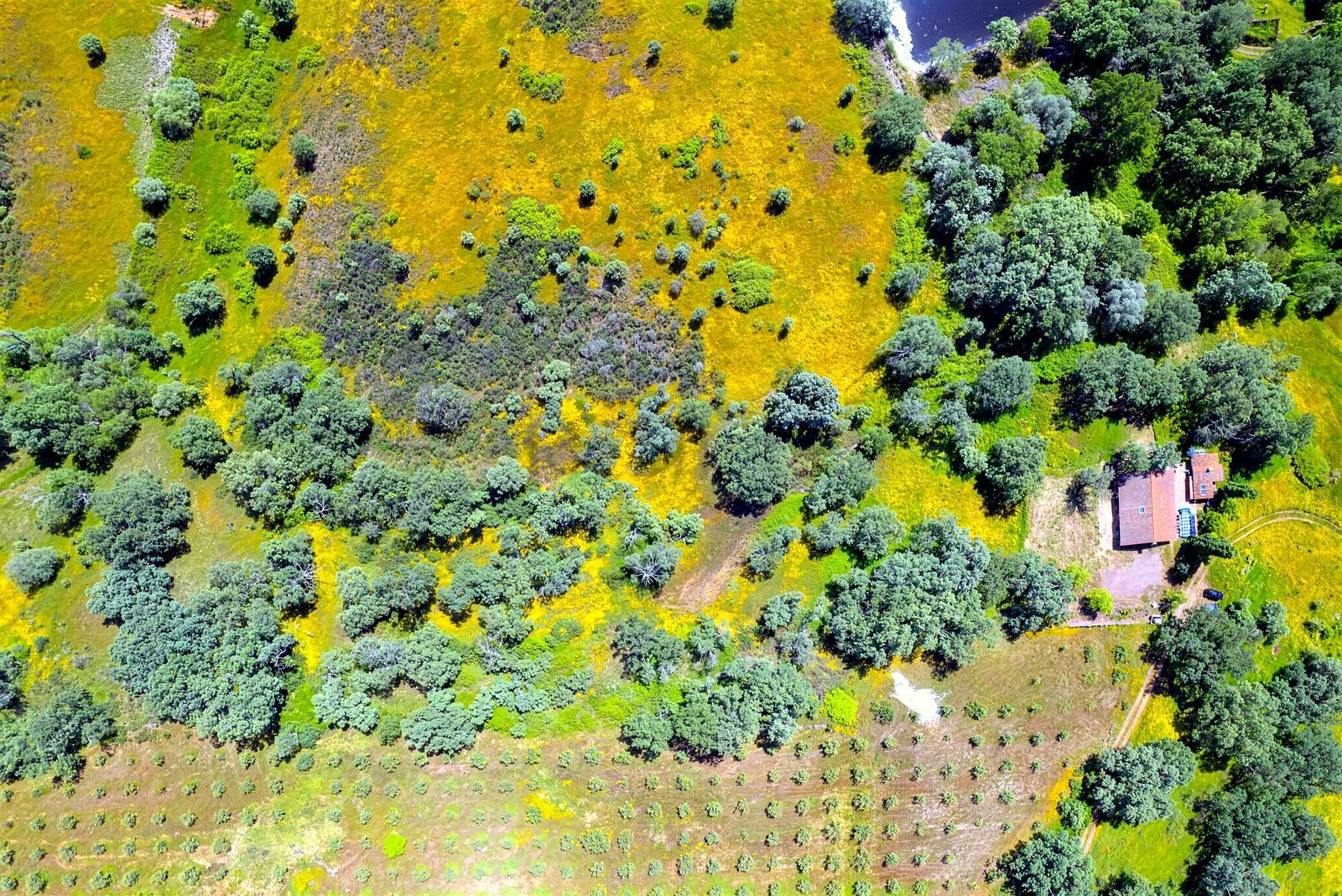 Vista cenital de la finca